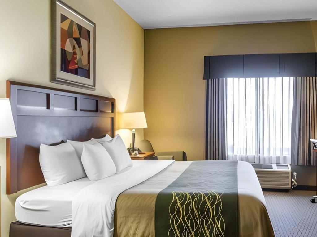 Comfort Inn & Suites Медісонвіл Екстер'єр фото