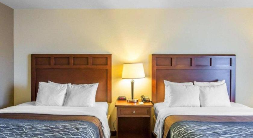 Comfort Inn & Suites Медісонвіл Екстер'єр фото